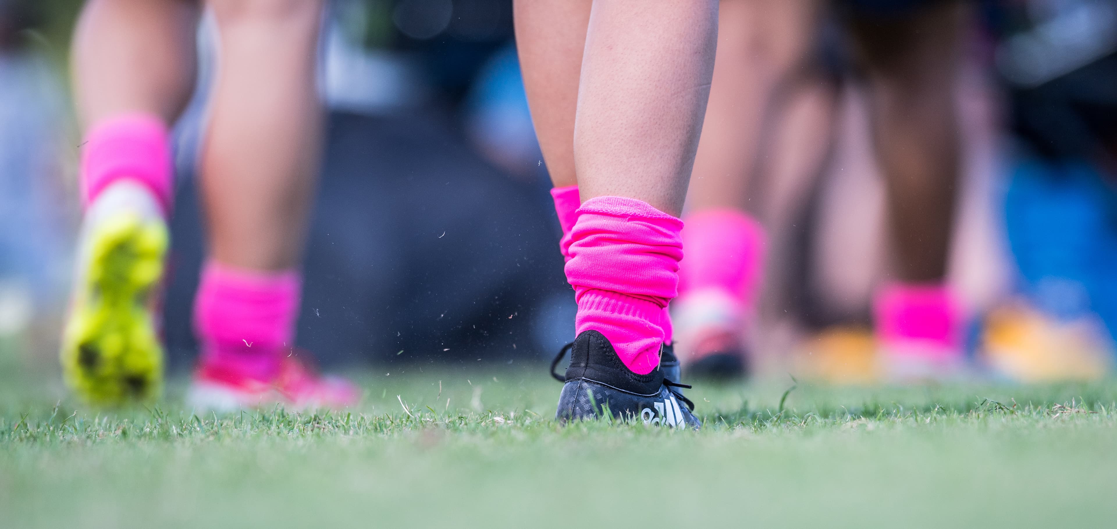 Player Dispensation Rugby Australia