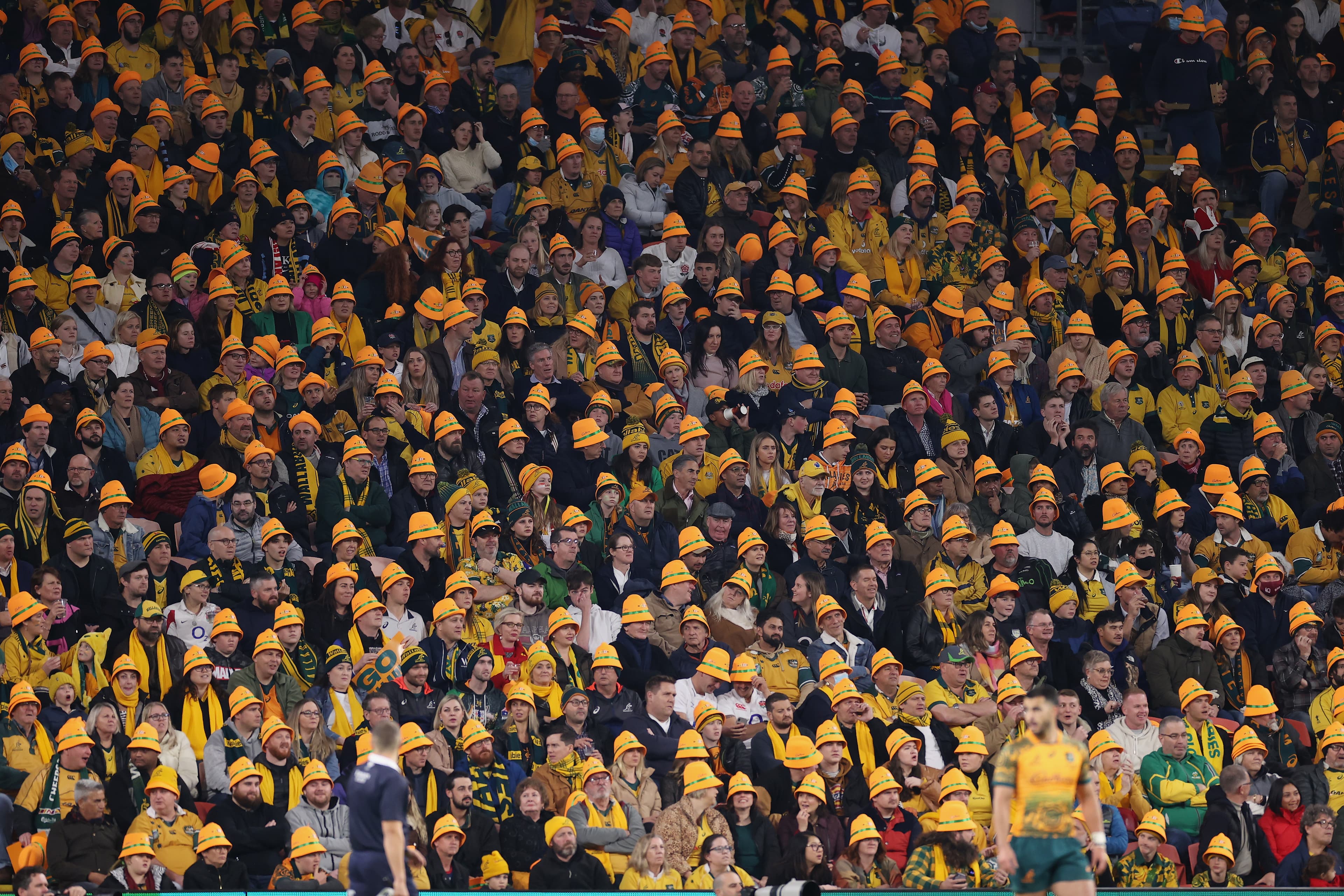 Crowd Gold Brigade - Wallabies