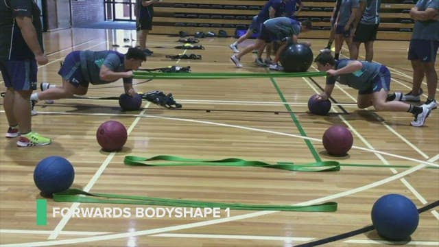 Forwards bodyshape #1
