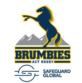 Brumbies Logo