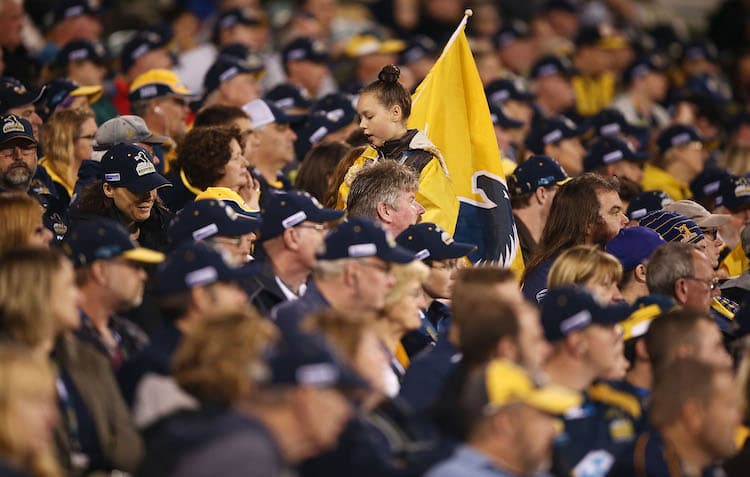 Brumbies Memberships Fans Crowd 