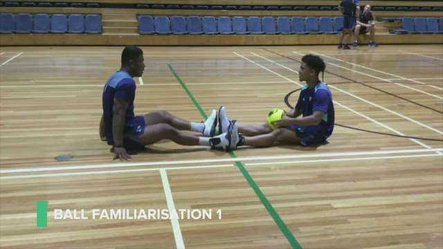 Ball familiarisation