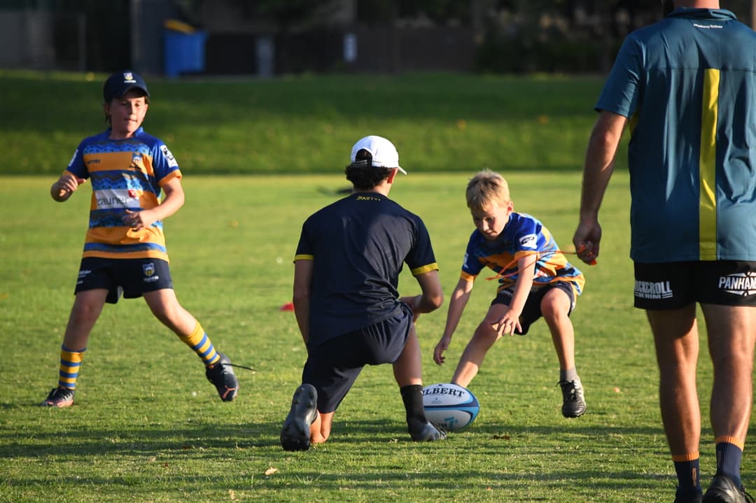 How to Play Rugby Australia