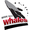 Wide Bay Whales Open Men