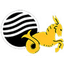 Capricornia 14-15yrs