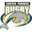 Surfers Dolphins 2nd Grade