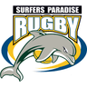 Surfers Dolphins 1st Grade