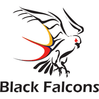 SA Black Falcons Women