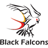 SA Black Falcons Women