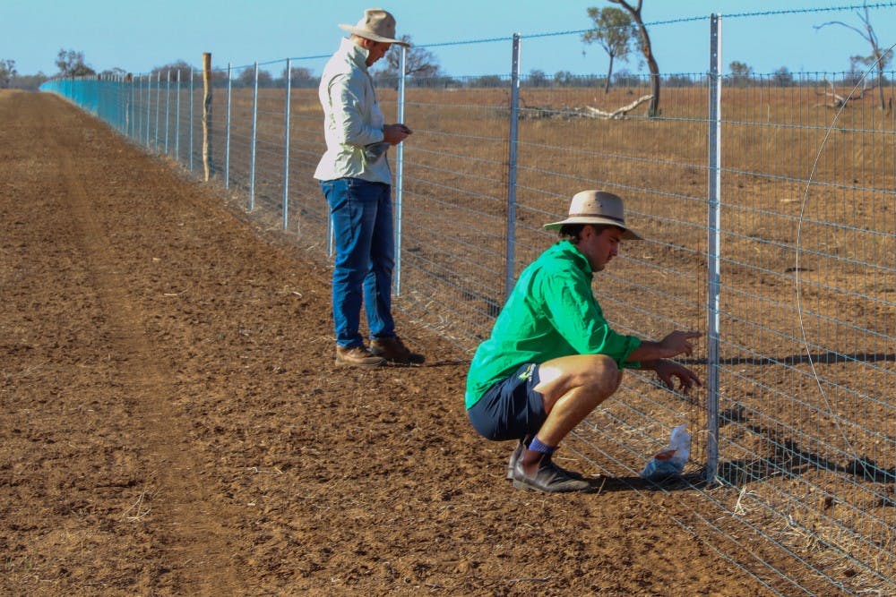 Reds players Liam Wright (green shirt) and Harry Wilson (left) working on fencing at Barcaldine with a property owner. Photo: QRU Media/Tom Mitchell