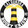 Caloundra Cricks Volkswagen Cup